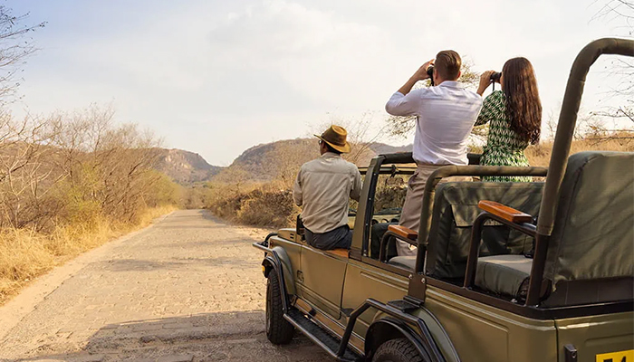 Explore India’s Untamed Wilderness in Absolute Comfort